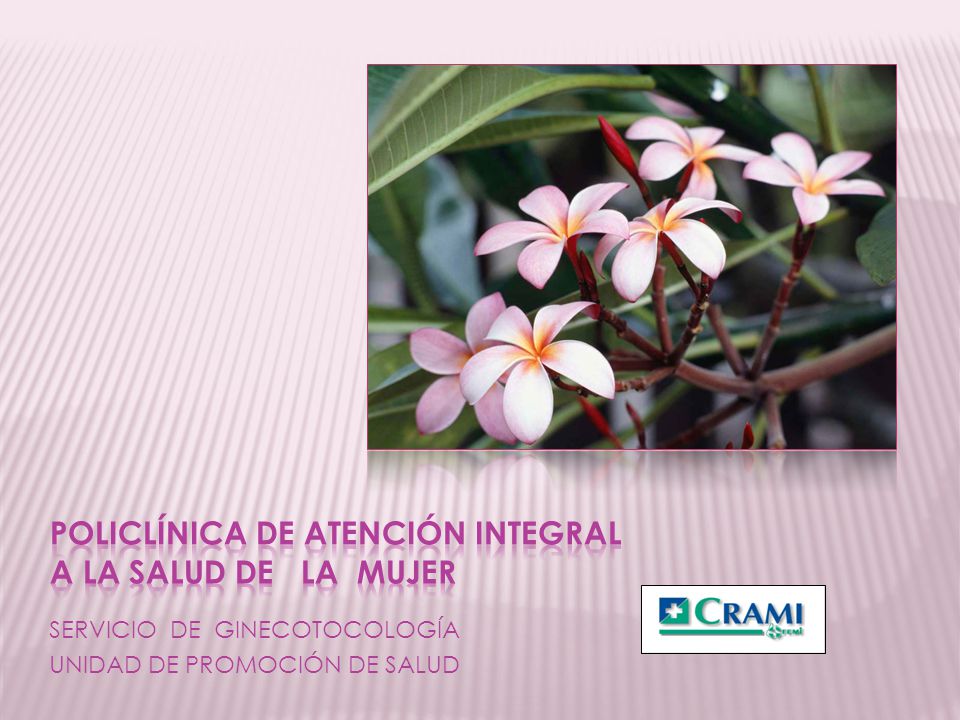 POLICLÍNICA de ATENCIÓN INTEGRAL a la salud de la mujer