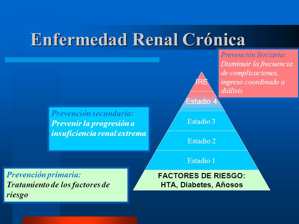 Enfermedad Renal Crónica