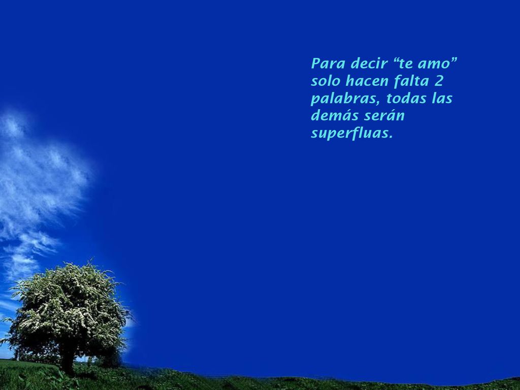 Para decir te amo solo hacen falta 2 palabras, todas las demás serán superfluas.