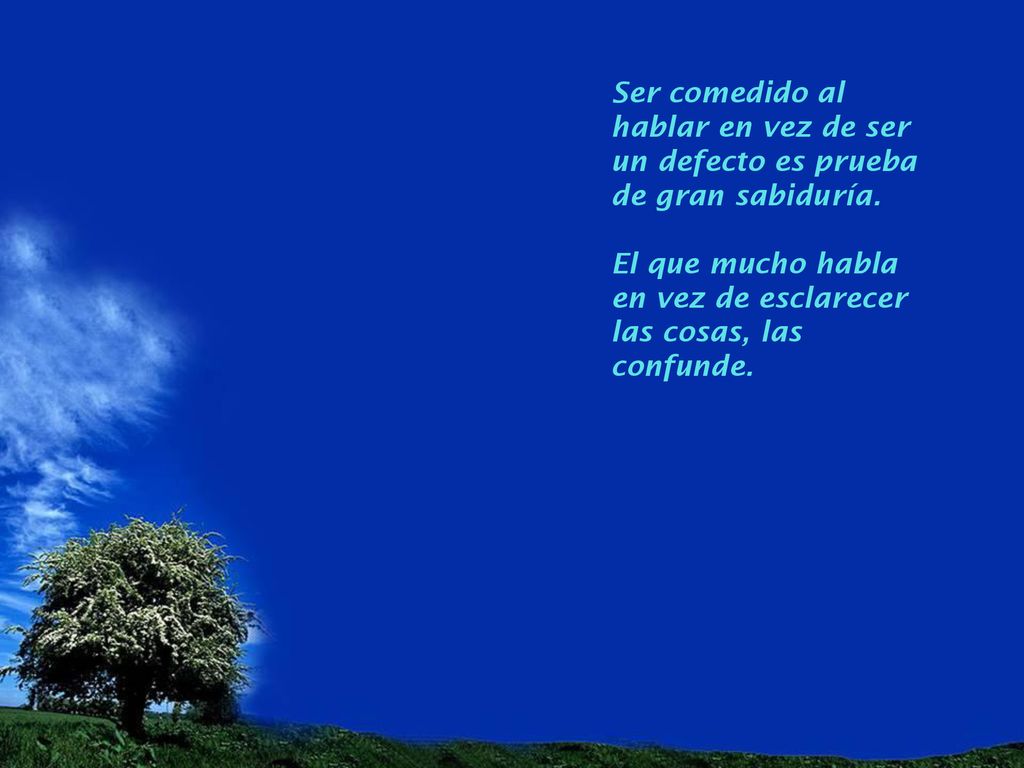 Ser comedido al hablar en vez de ser un defecto es prueba de gran sabiduría.