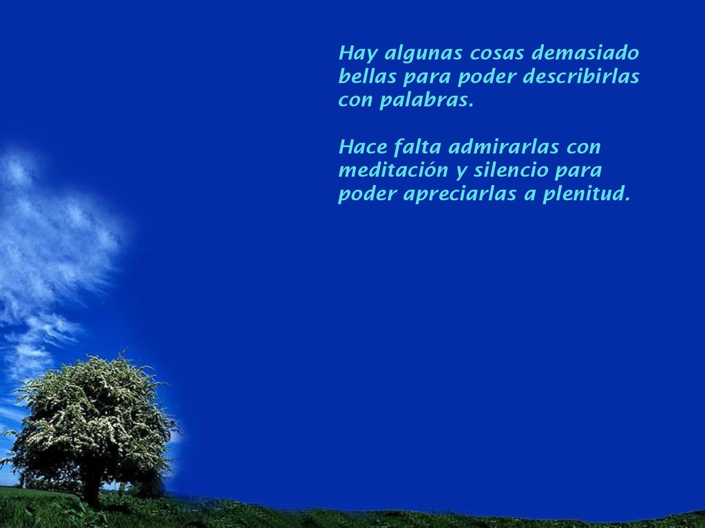 Hay algunas cosas demasiado bellas para poder describirlas con palabras.