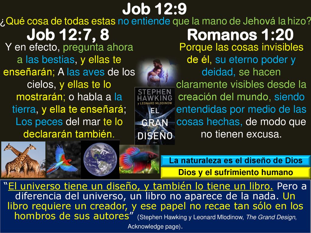 La naturaleza es el diseño de Dios Dios y el sufrimiento humano
