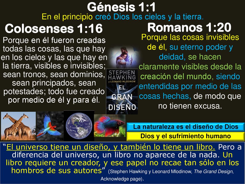 La naturaleza es el diseño de Dios Dios y el sufrimiento humano