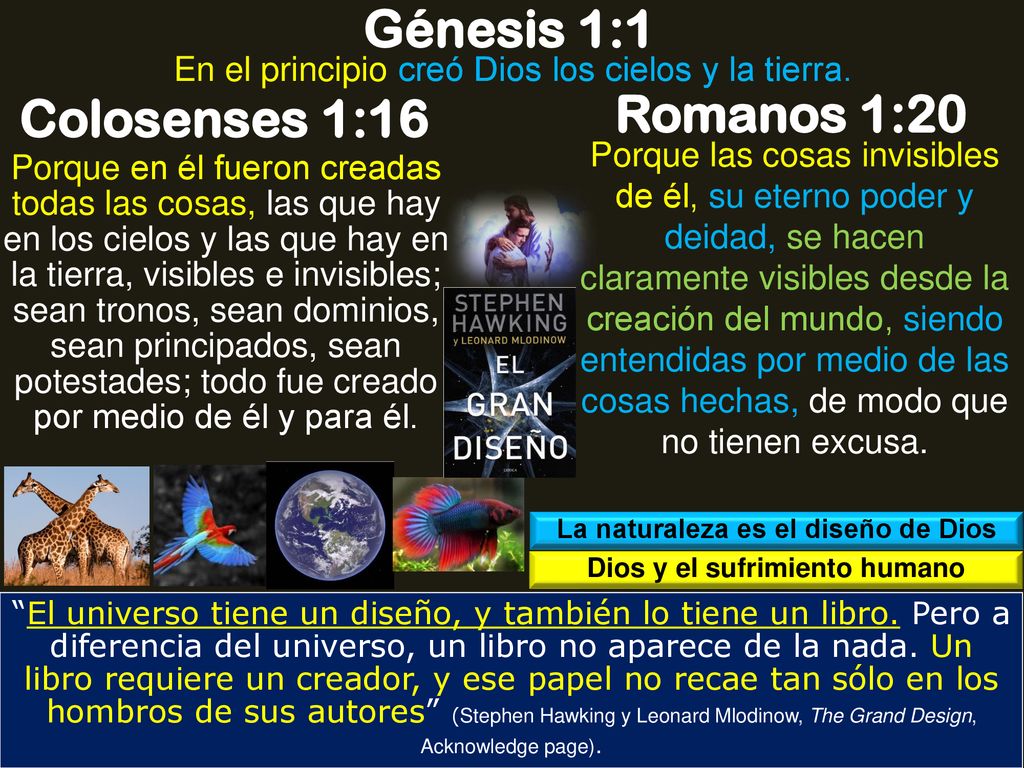 La naturaleza es el diseño de Dios Dios y el sufrimiento humano