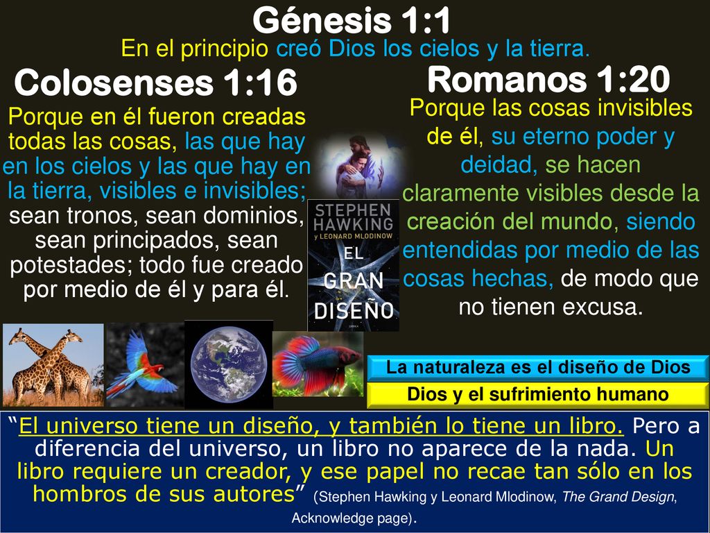 La naturaleza es el diseño de Dios Dios y el sufrimiento humano
