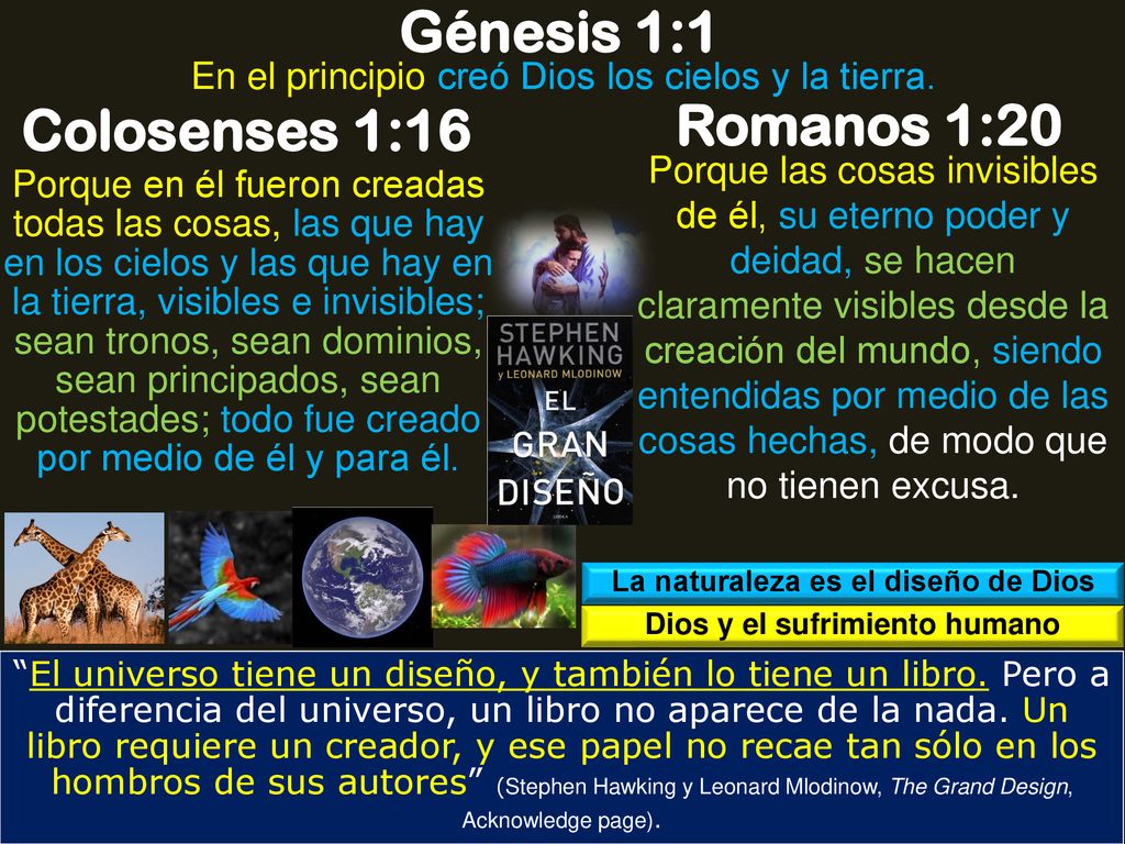 La naturaleza es el diseño de Dios Dios y el sufrimiento humano
