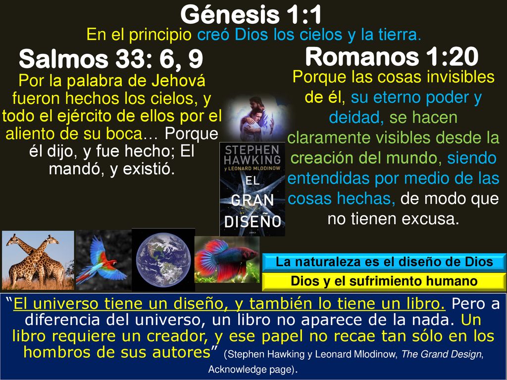 La naturaleza es el diseño de Dios Dios y el sufrimiento humano