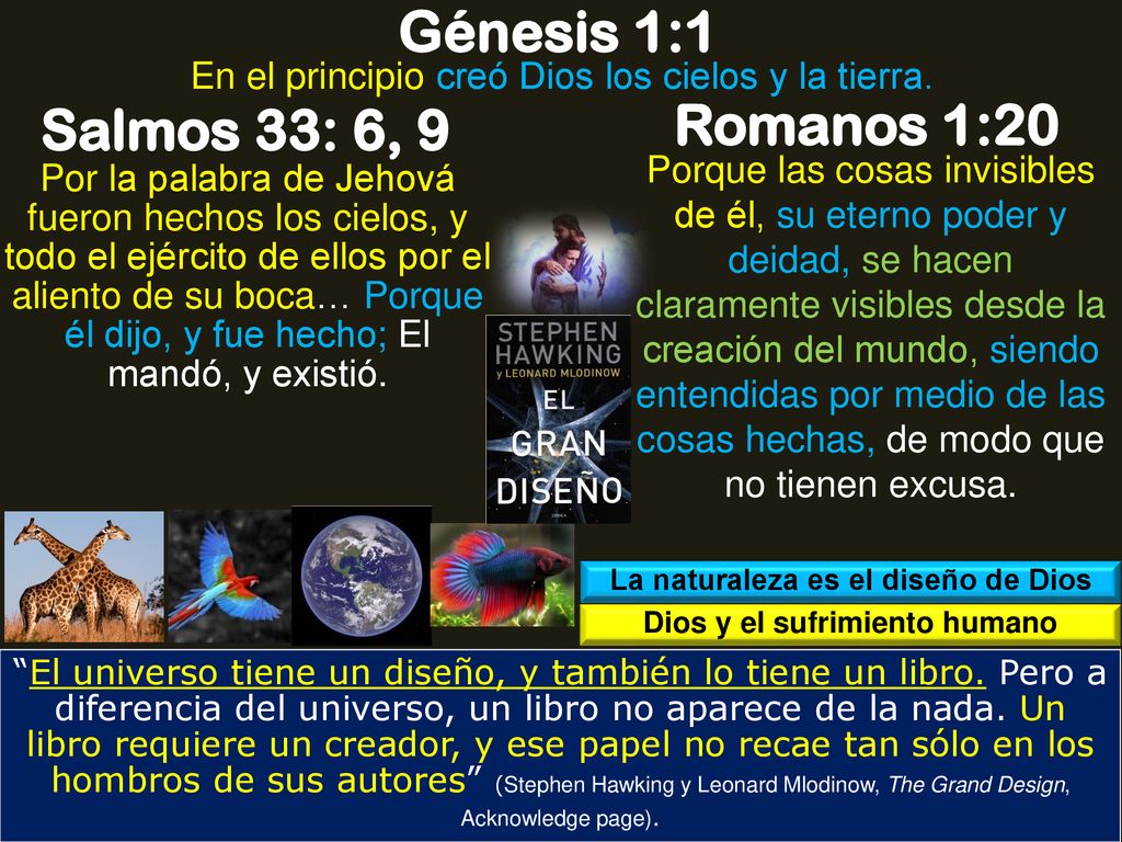 La naturaleza es el diseño de Dios Dios y el sufrimiento humano
