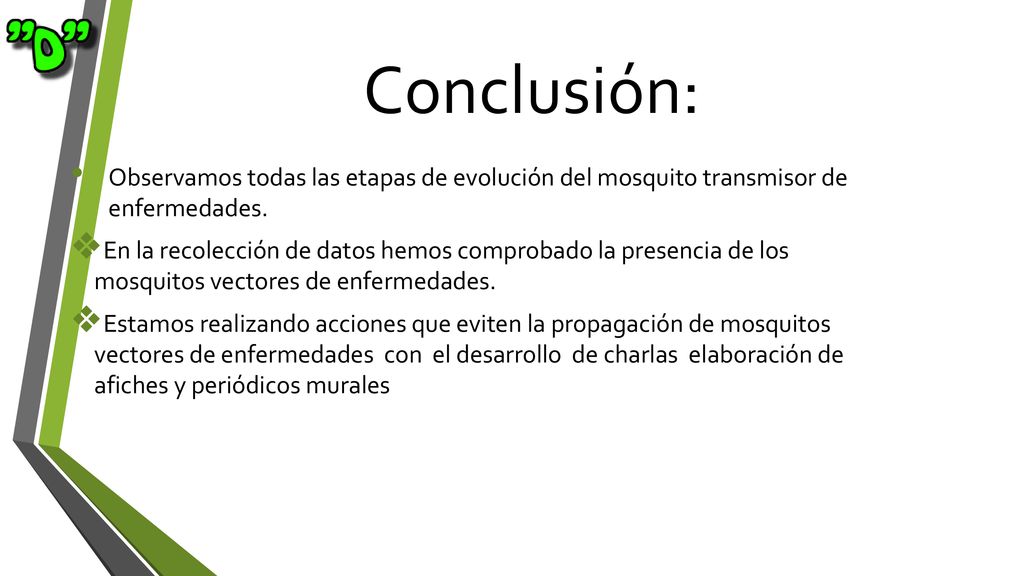 Conclusión: Observamos todas las etapas de evolución del mosquito transmisor de enfermedades.