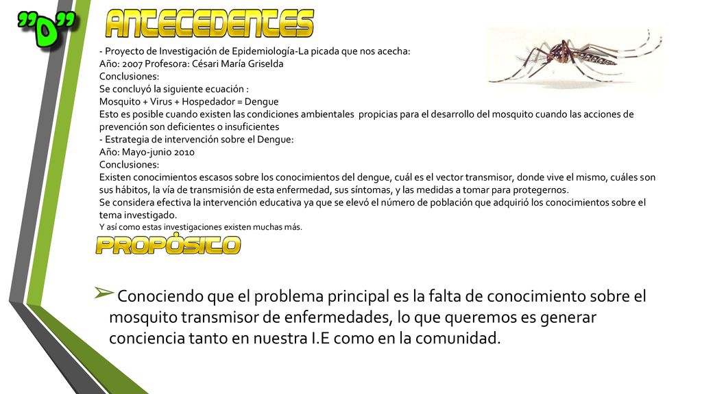 - Proyecto de Investigación de Epidemiología-La picada que nos acecha: Año: 2007 Profesora: Césari María Griselda Conclusiones: Se concluyó la siguiente ecuación : Mosquito + Virus + Hospedador = Dengue Esto es posible cuando existen las condiciones ambientales propicias para el desarrollo del mosquito cuando las acciones de prevención son deficientes o insuficientes - Estrategia de intervención sobre el Dengue: Año: Mayo-junio 2010 Conclusiones: Existen conocimientos escasos sobre los conocimientos del dengue, cuál es el vector transmisor, donde vive el mismo, cuáles son sus hábitos, la vía de transmisión de esta enfermedad, sus síntomas, y las medidas a tomar para protegernos. Se considera efectiva la intervención educativa ya que se elevó el número de población que adquirió los conocimientos sobre el tema investigado. Y así como estas investigaciones existen muchas más.