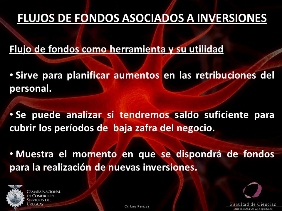 FLUJOS DE FONDOS ASOCIADOS A INVERSIONES
