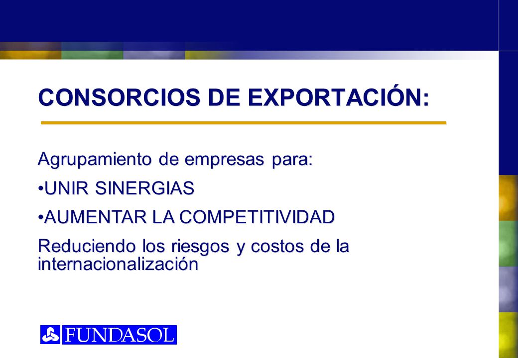 CONSORCIOS DE EXPORTACIÓN: