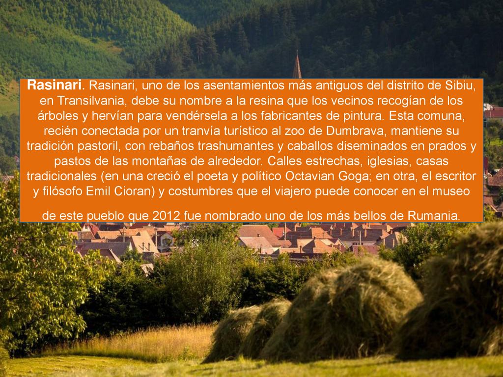 Rasinari. Rasinari, uno de los asentamientos más antiguos del distrito de Sibiu, en Transilvania, debe su nombre a la resina que los vecinos recogían de los árboles y hervían para vendérsela a los fabricantes de pintura.