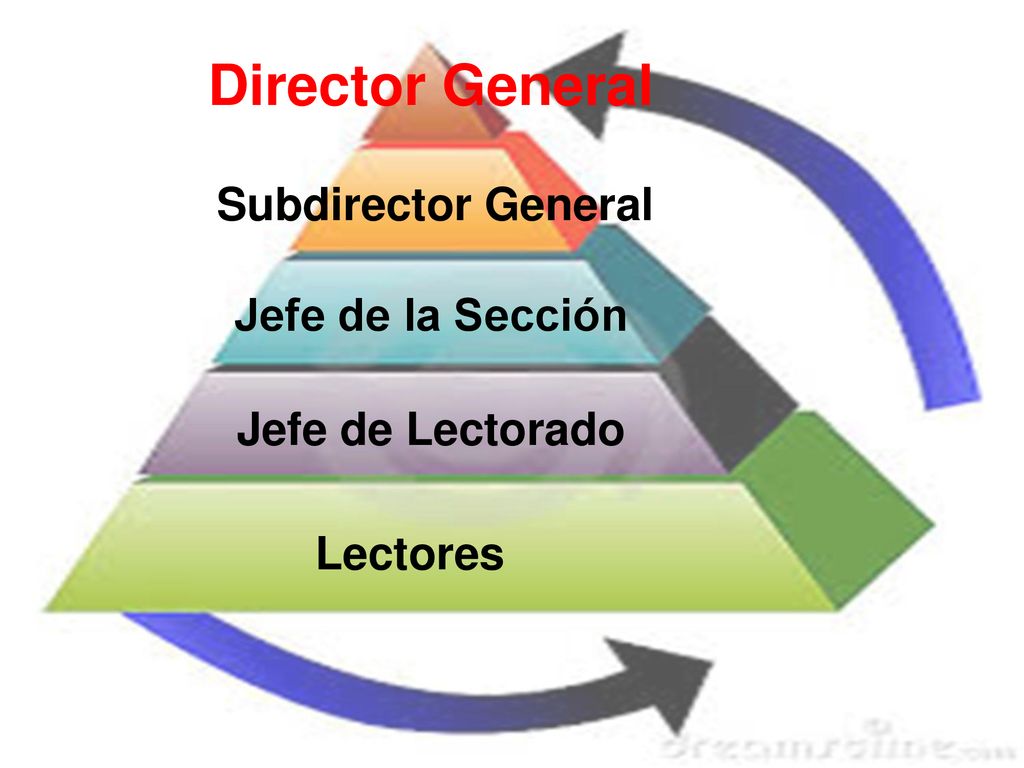 Director General Subdirector General Jefe de la Sección