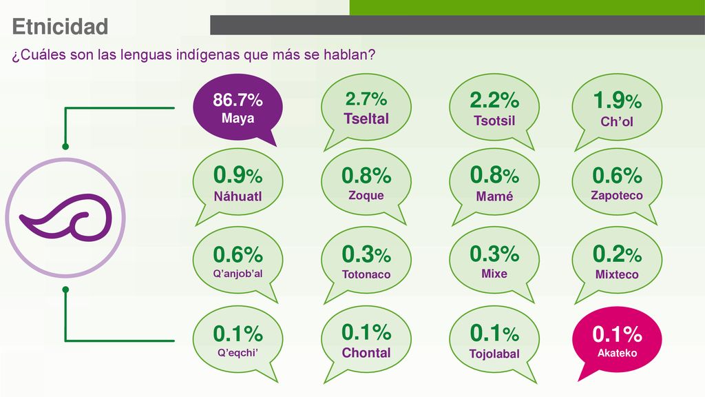 1.9% 0.9% 0.8% 0.3% 0.2% 0.1% Etnicidad 2.2% 0.8% 0.6% 0.6% 0.3% 0.1%