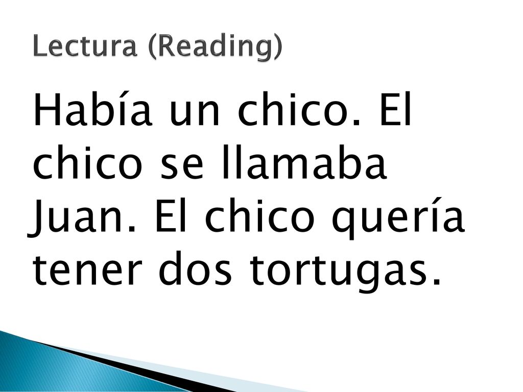 Lectura (Reading) Había un chico. El chico se llamaba Juan. El chico quería tener dos tortugas.
