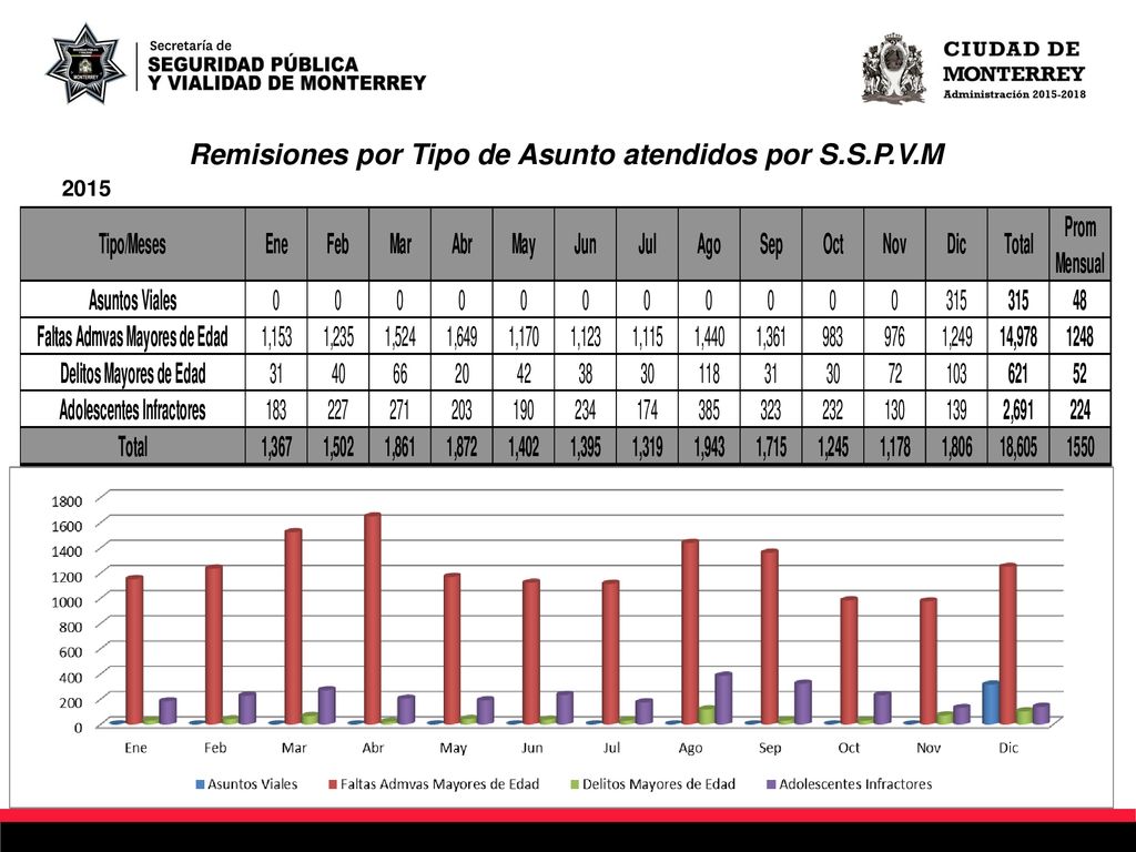 Remisiones por Tipo de Asunto atendidos por S.S.P.V.M