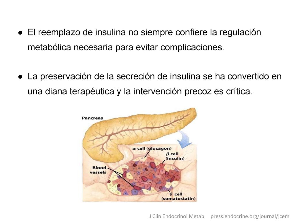 El reemplazo de insulina no siempre confiere la regulación metabólica necesaria para evitar complicaciones.