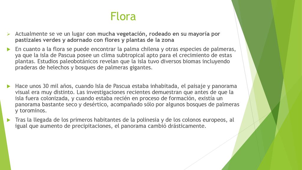 Flora Actualmente se ve un lugar con mucha vegetación, rodeado en su mayoría por pastizales verdes y adornado con flores y plantas de la zona.