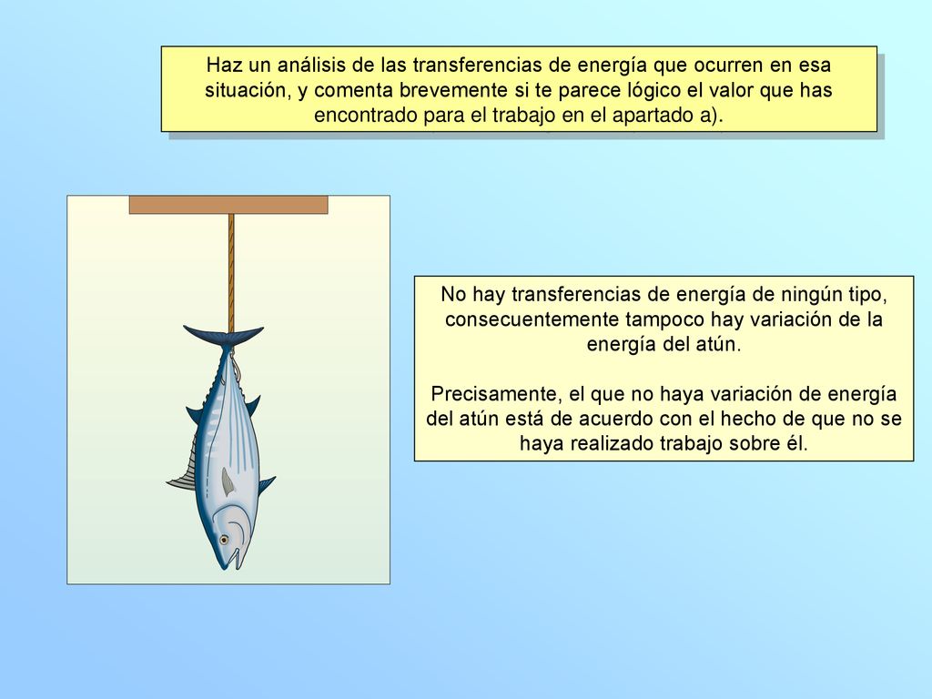 Haz un análisis de las transferencias de energía que ocurren en esa