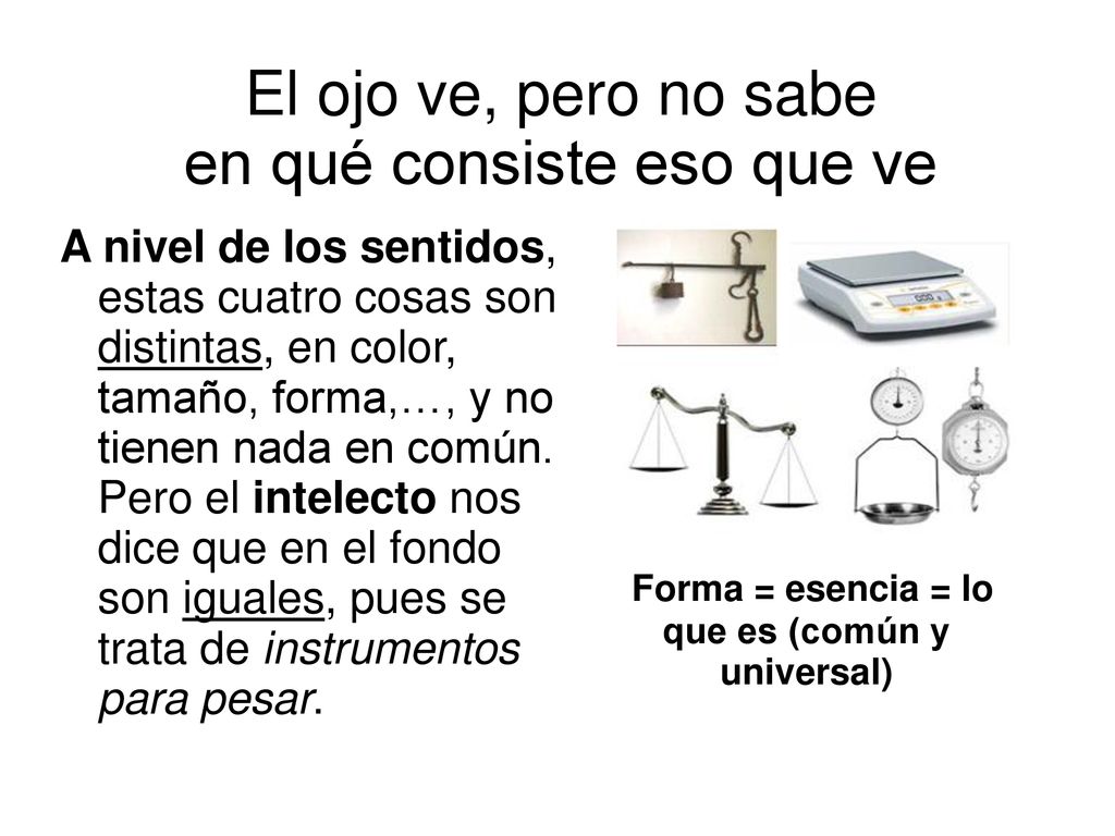 El ojo ve, pero no sabe en qué consiste eso que ve