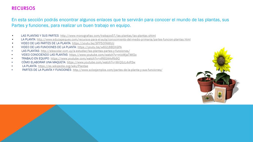 Partes y funciones, para realizar un buen trabajo en equipo.