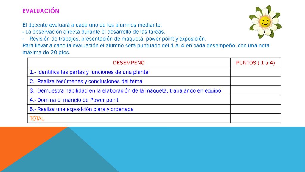 EVALUACIÓN El docente evaluará a cada uno de los alumnos mediante: - La observación directa durante el desarrollo de las tareas.