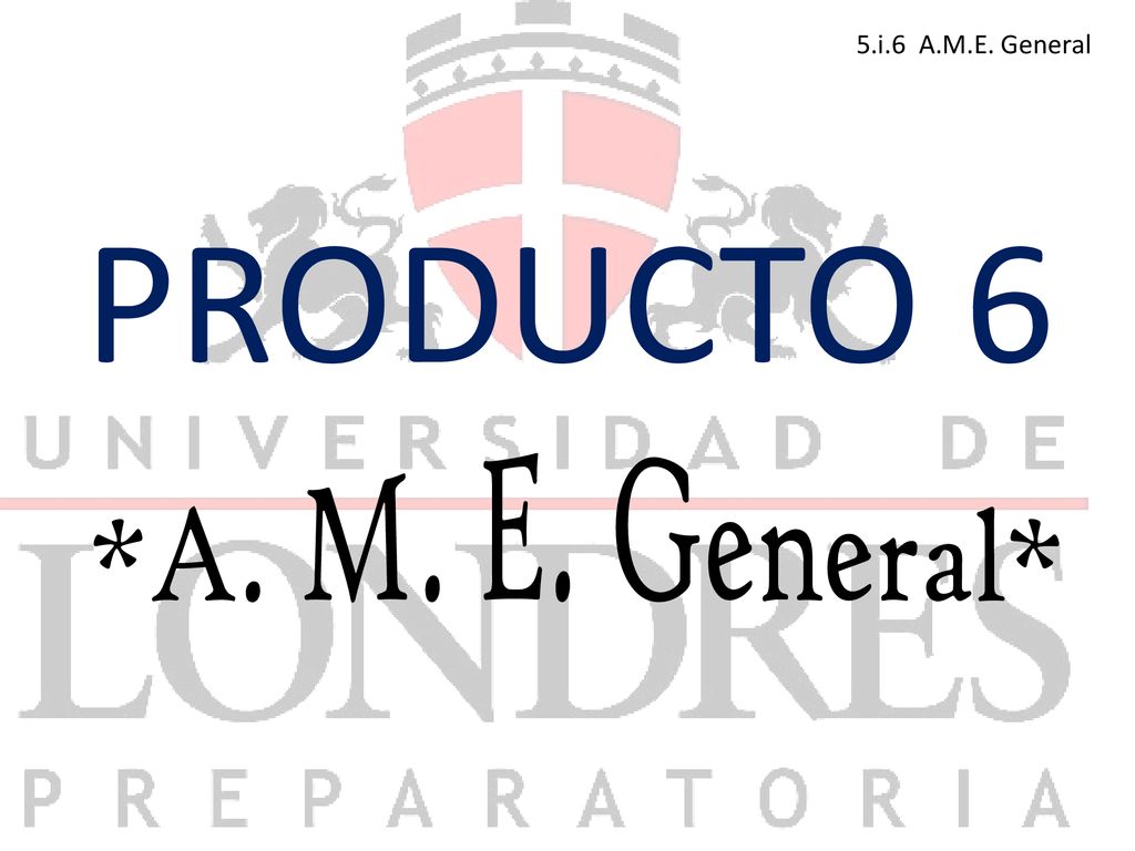 5.i.6 A.M.E. General PRODUCTO 6 *A. M. E. General*