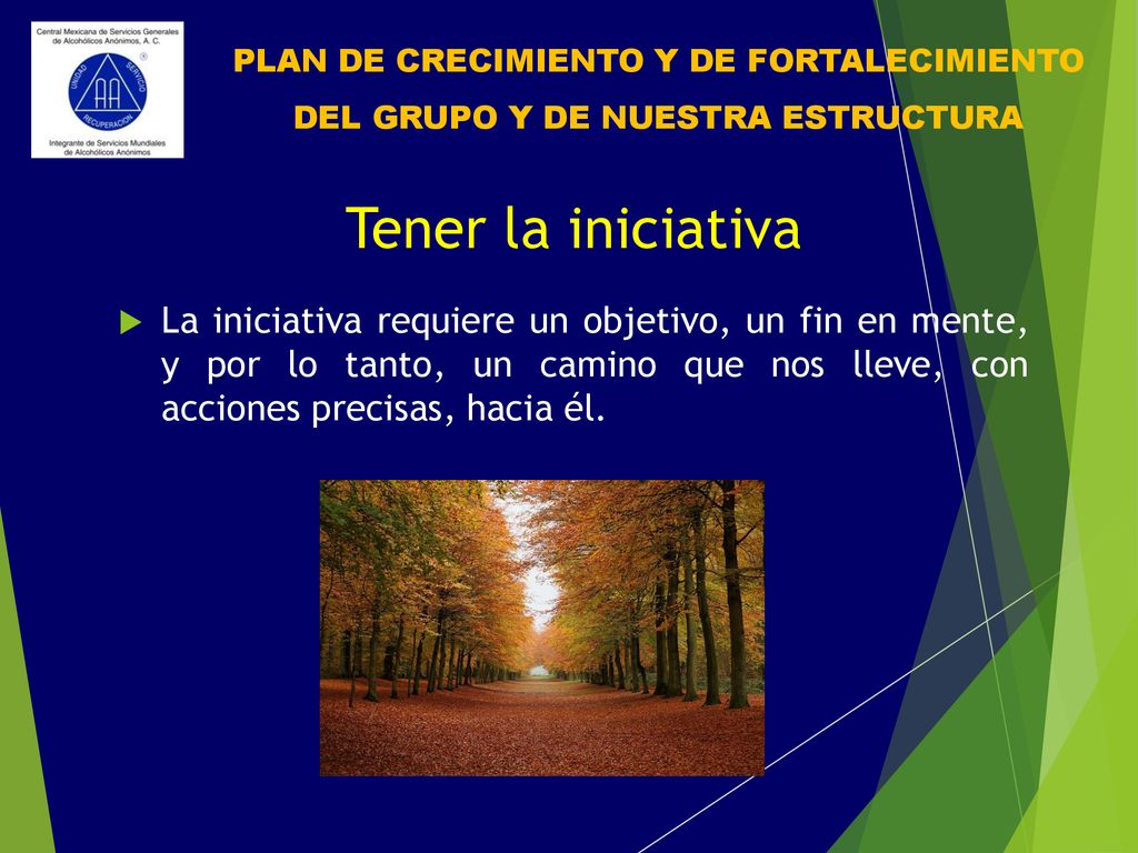 PLAN DE CRECIMIENTO Y DE FORTALECIMIENTO DEL GRUPO Y DE NUESTRA ESTRUCTURA
