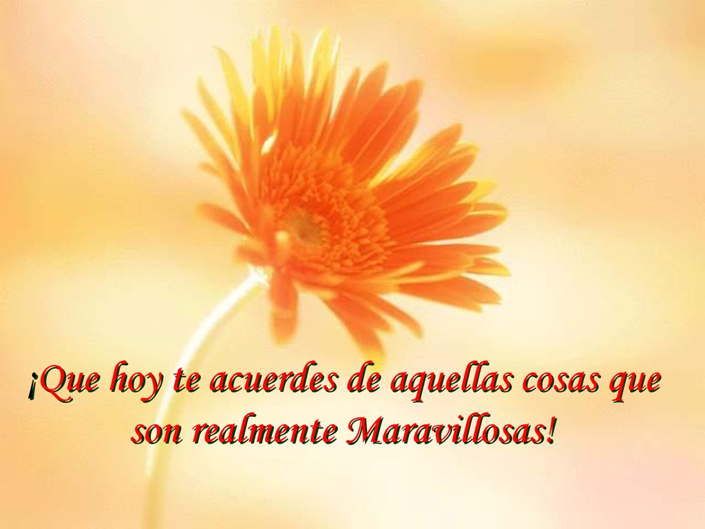 ¡Que hoy te acuerdes de aquellas cosas que son realmente Maravillosas!