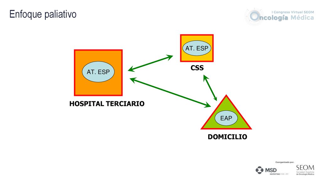 Enfoque paliativo AT. ESP AT. ESP CSS HOSPITAL TERCIARIO EAP DOMICILIO