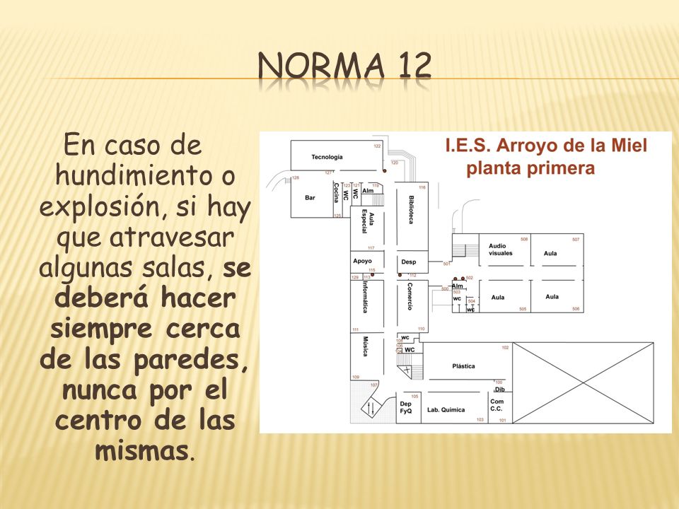 Norma 12