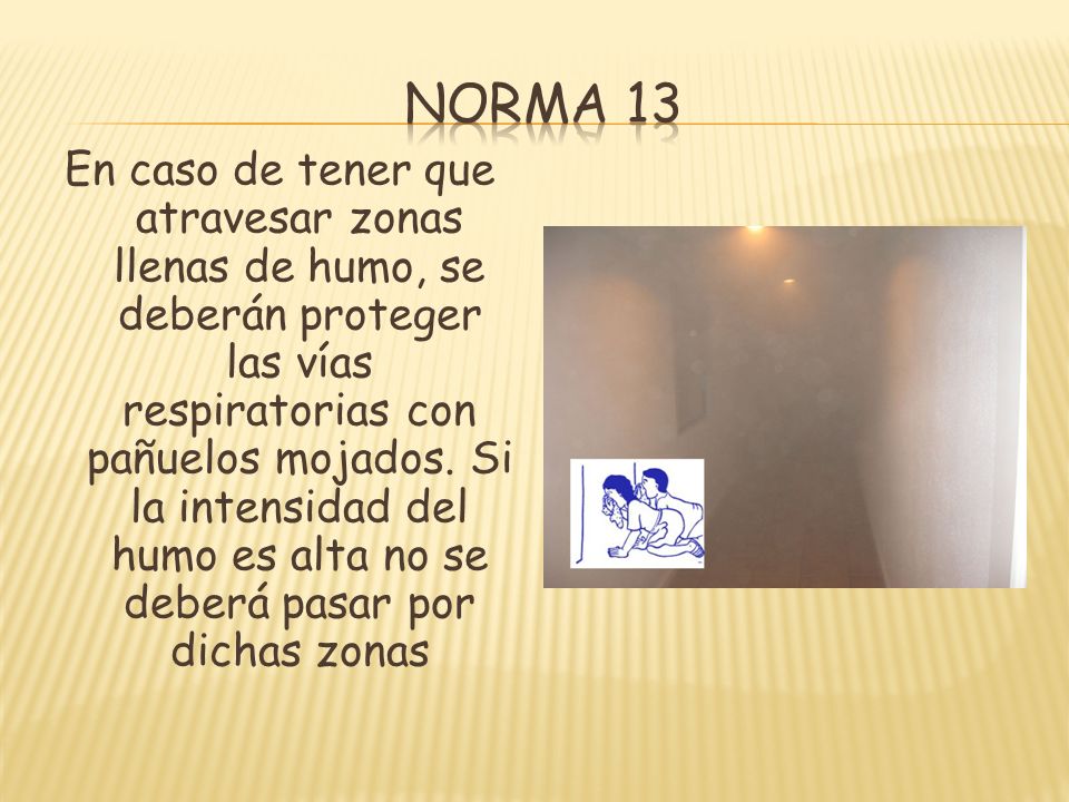 Norma 13