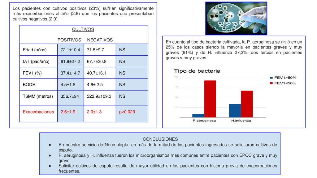 Los pacientes con cultivos positivos (23%) sufrían significativamente más exacerbaciones al año (2.6) que los pacientes que presentaban cultivos negativos (2.0).