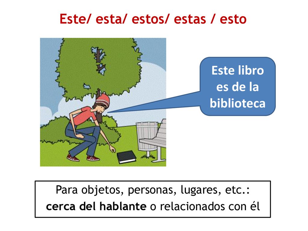 Este/ esta/ estos/ estas / esto Este libro es de la biblioteca