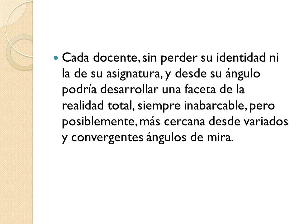 Cada docente, sin perder su identidad ni la de su asignatura, y desde su ángulo podría desarrollar una faceta de la realidad total, siempre inabarcable, pero posiblemente, más cercana desde variados y convergentes ángulos de mira.