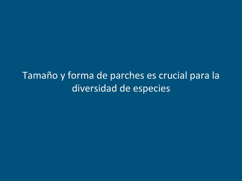 Tamaño y forma de parches es crucial para la diversidad de especies