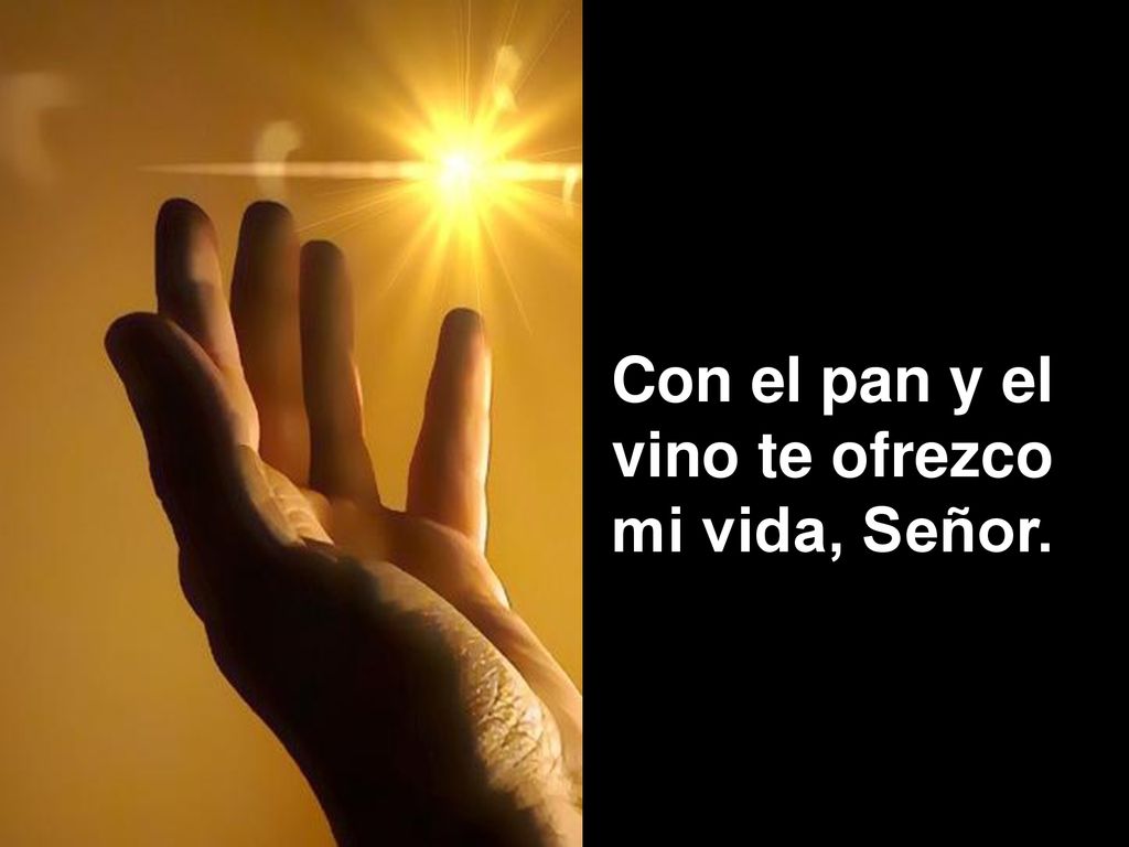 Con el pan y el vino te ofrezco mi vida, Señor.