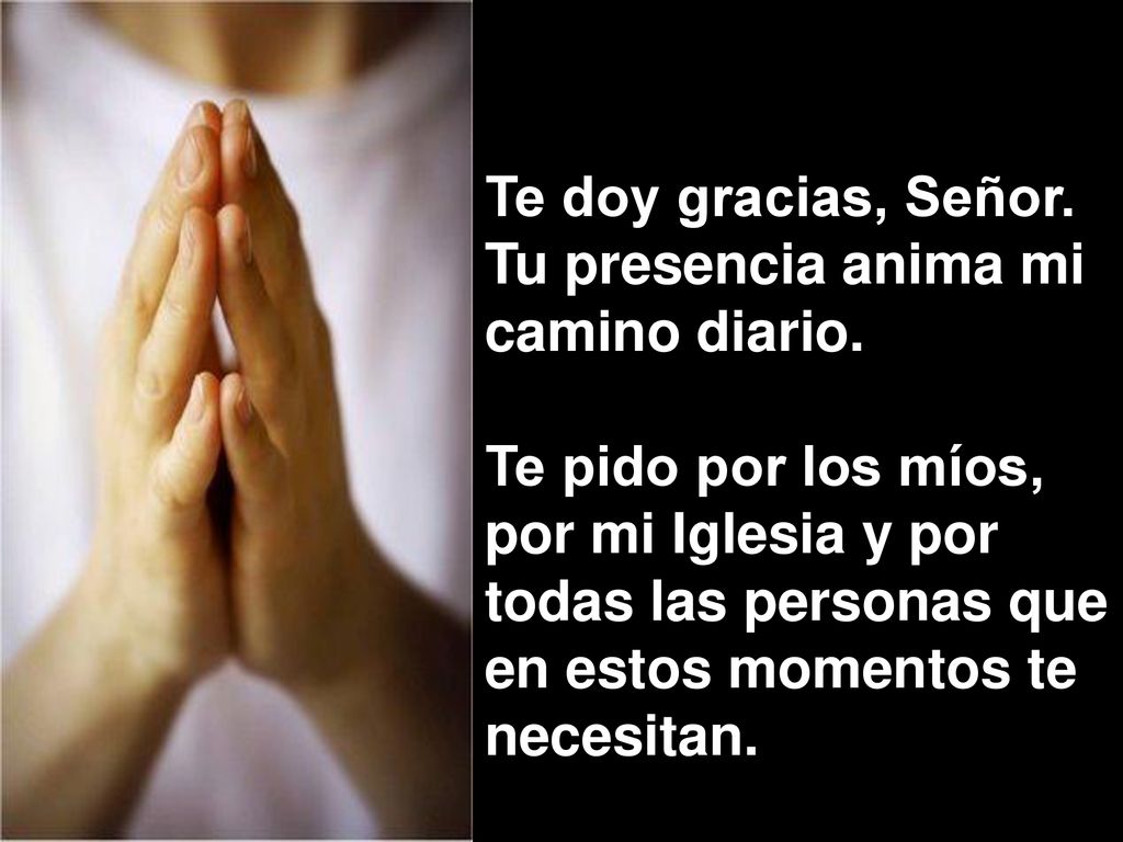 Te doy gracias, Señor. Tu presencia anima mi camino diario.