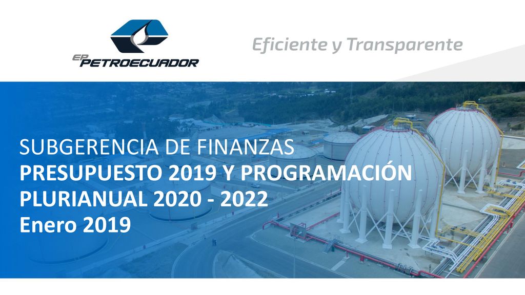 SUBGERENCIA DE FINANZAS PRESUPUESTO 2019 Y PROGRAMACIÓN PLURIANUAL Enero 2019