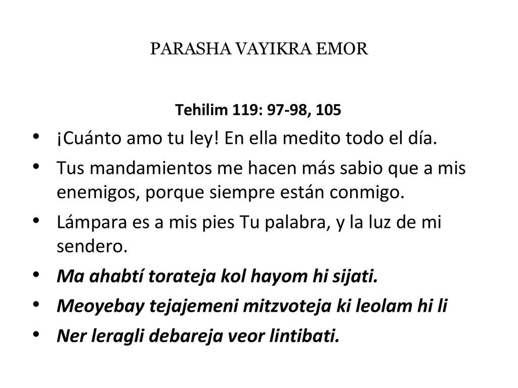 ¡Cuánto amo tu ley! En ella medito todo el día.