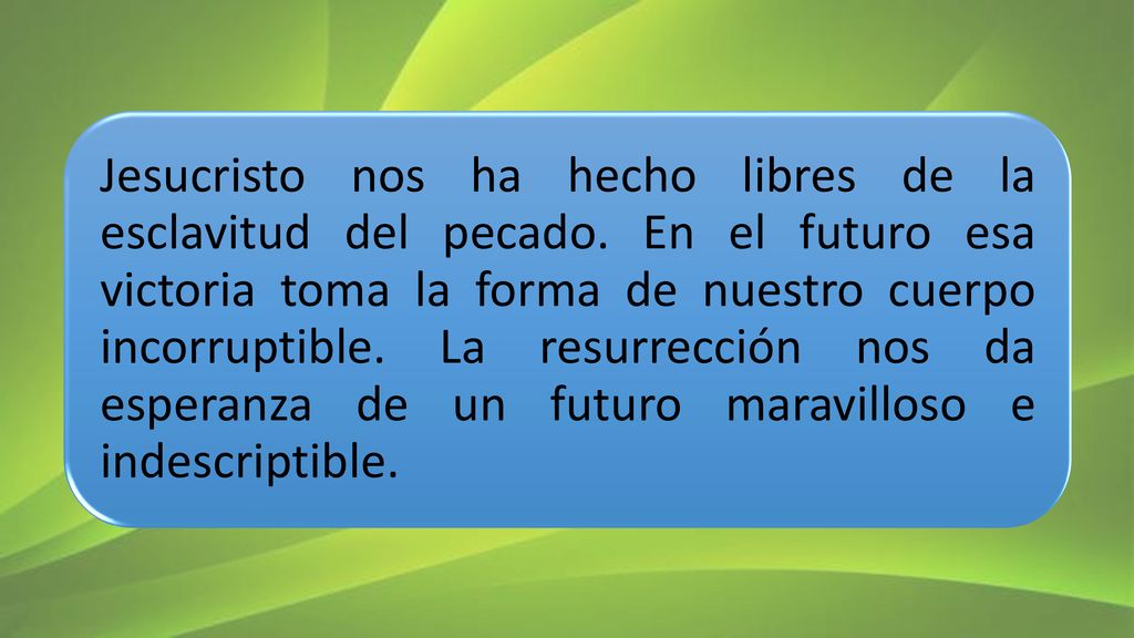 Jesucristo nos ha hecho libres de la esclavitud del pecado