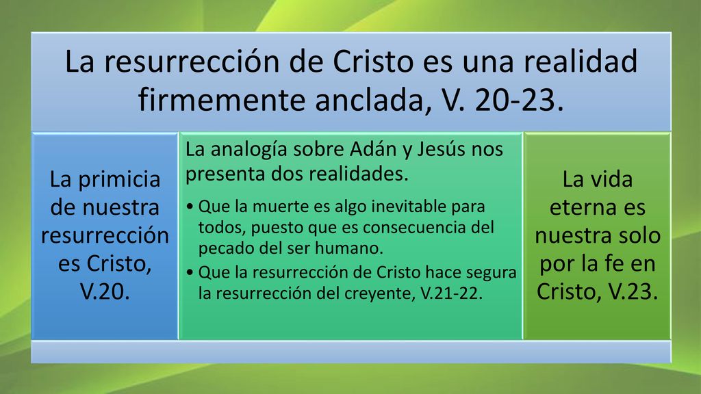 La resurrección de Cristo es una realidad firmemente anclada, V