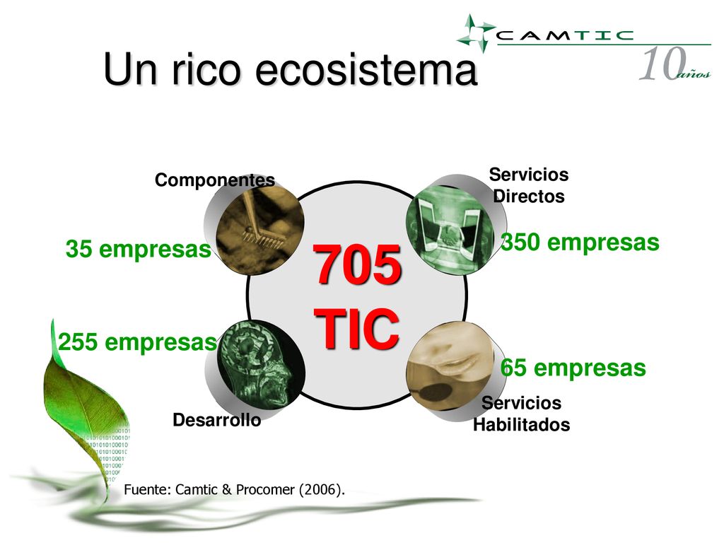 705 TIC Un rico ecosistema 350 empresas 35 empresas 255 empresas