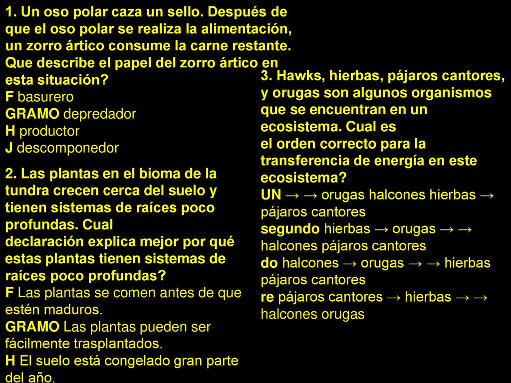 el orden correcto para la transferencia de energía en este ecosistema