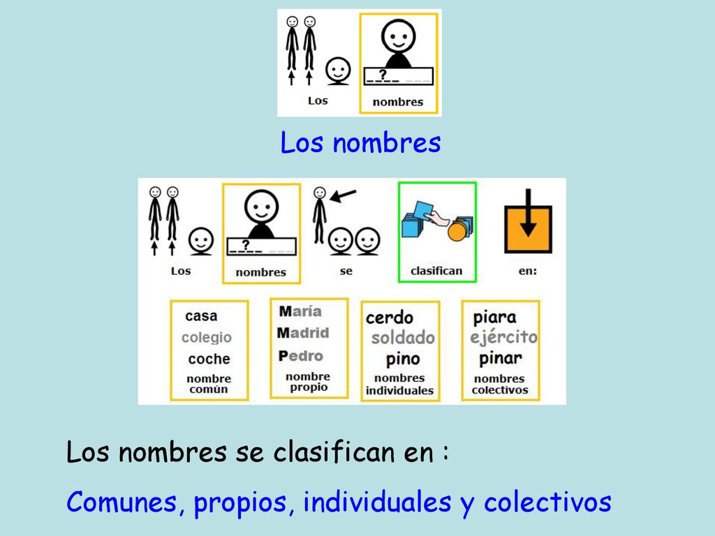 Los nombres Los nombres se clasifican en : Comunes, propios, individuales y colectivos