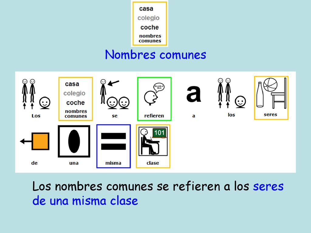 Nombres comunes Los nombres comunes se refieren a los seres de una misma clase