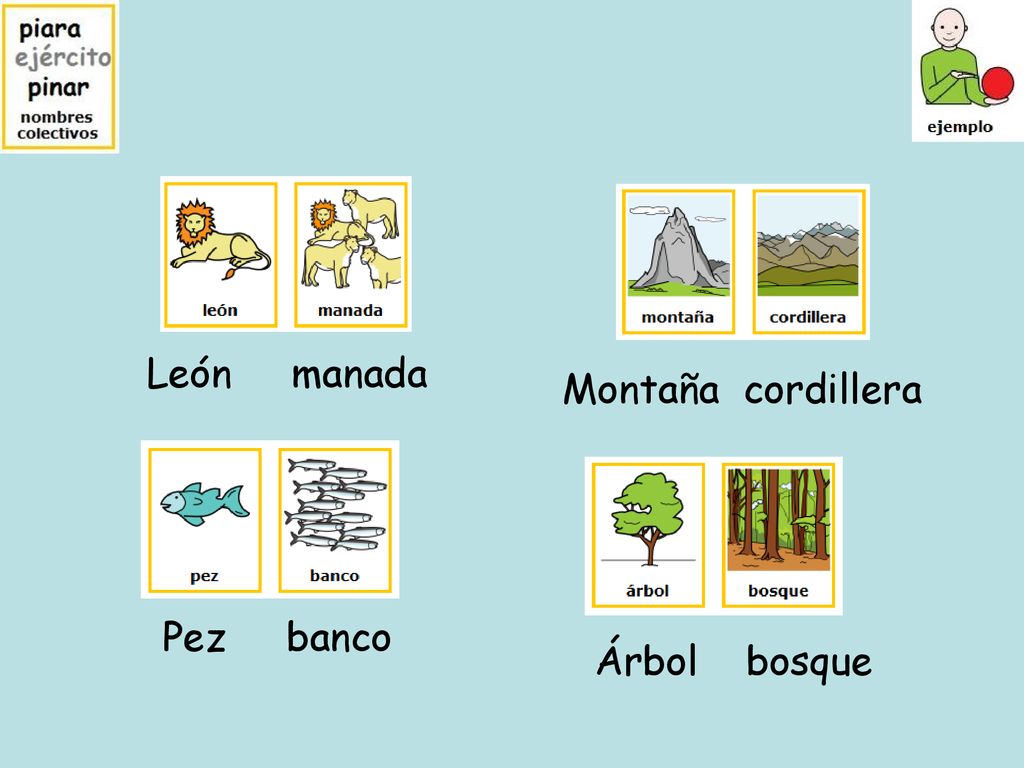 León manada Montaña cordillera Pez banco Árbol bosque