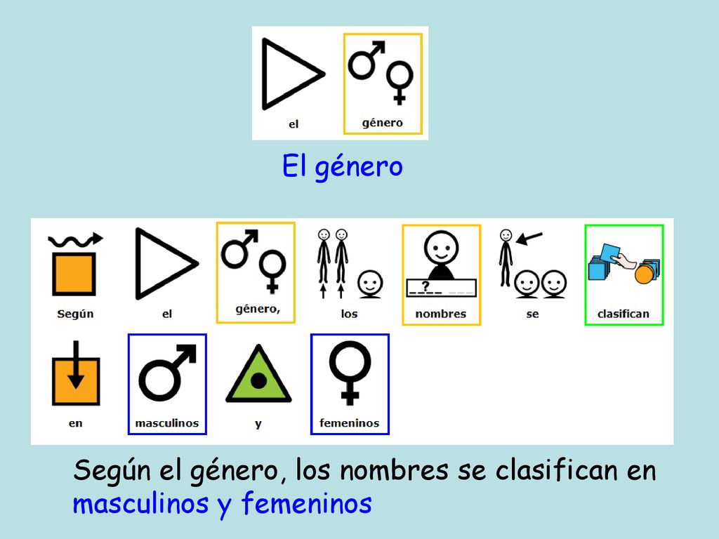 El género Según el género, los nombres se clasifican en masculinos y femeninos