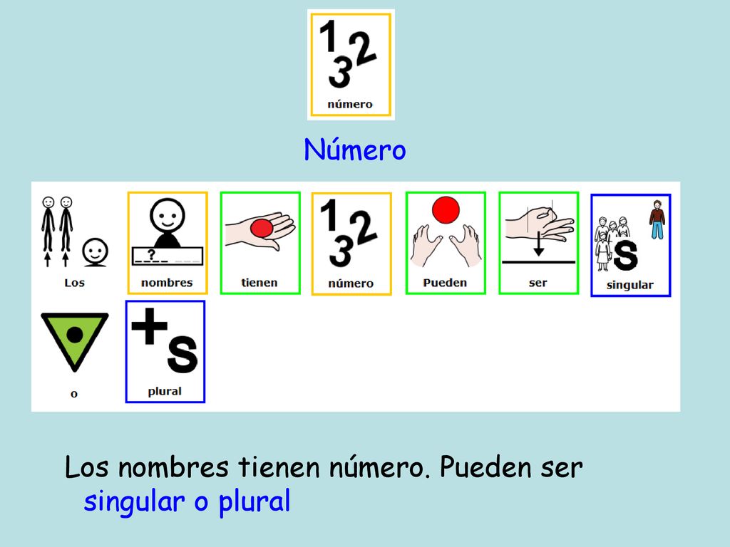 Número Los nombres tienen número. Pueden ser singular o plural